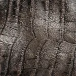 La lavorazione del pellame e l’ingresso delle nuove tecnologie